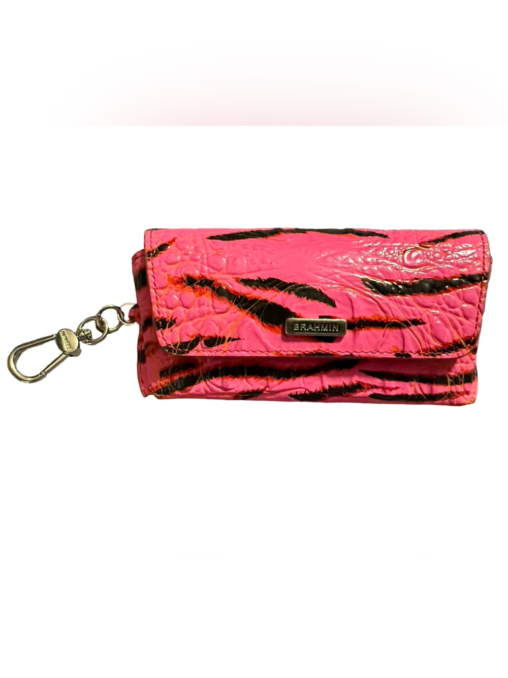 Brahmin Elora in Pink Feline Ombre